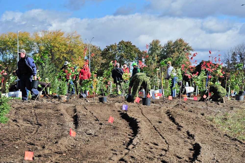 Highway of Heroes Tree Campaign